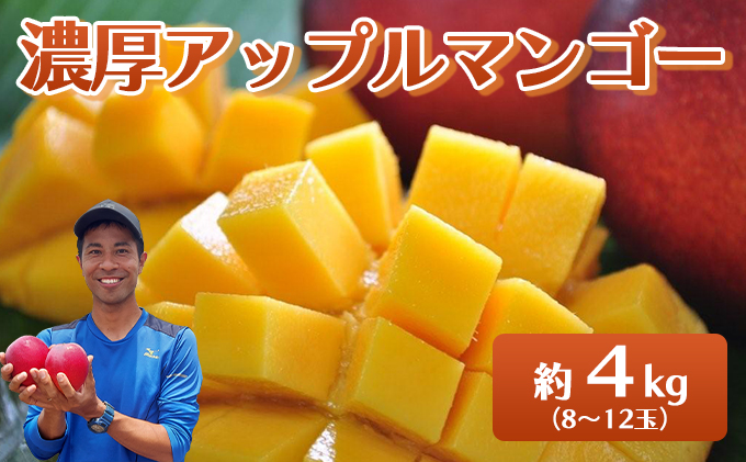 2026年 先行予約 アップルマンゴー 約4kg 8～12玉入り 八重山マンゴー品評会総合1位を計3回獲得！高糖度保証！農園ファイミール 濃厚 果物 フルーツ 031-a008_2026