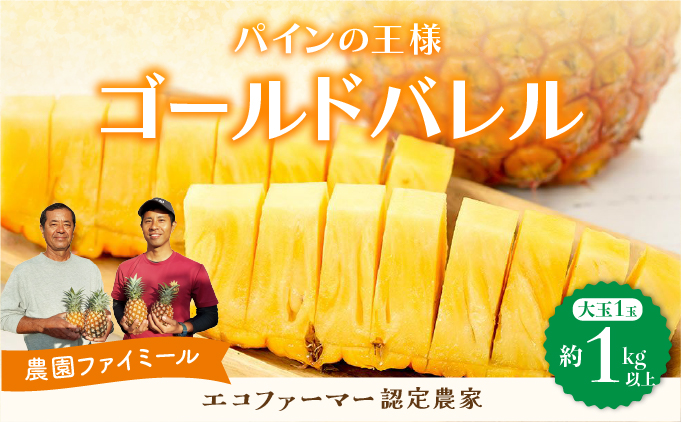 2026年 先行予約 最高級 パイン 完熟 ゴールドバレル 1.0kg以上 大玉1玉 果物 フルーツ パイナップル 031-a009_2026