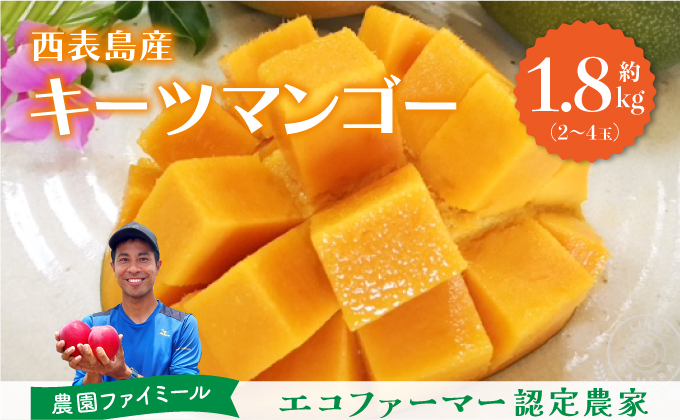 2026年 先行予約 マンゴー 約1.8kg 2～4玉 希少品種濃密 キーツマンゴー 高糖度保証！農園ファイミール 果物 フルーツ  031-a010_2026