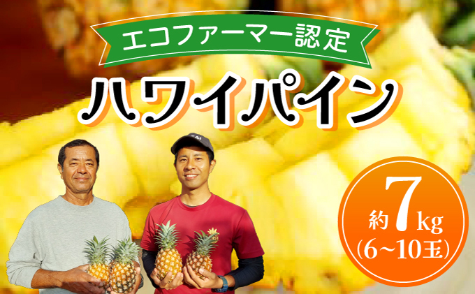 《2026年先行予約》ハワイパイン約7kg 【お届け：2026年6月中旬～7月下旬】【農園ファイミール 完熟 果物 フルーツ パイン パイナップル】 031-a027_2026