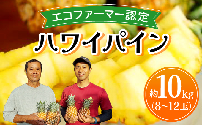 《2026年先行予約》ハワイパイン約10kg 【お届け：2026年6月中旬～7月下旬】【農園ファイミール 完熟 果物 フルーツ パイン パイナップル】031-a028_2026