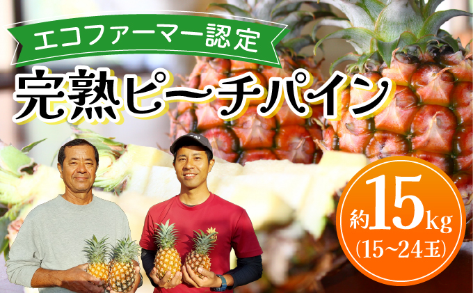 《2026年先行予約》ピーチパイン 約15kg 15～24玉 農園ファイミール 完熟 果物 フルーツ 031-a029_2026