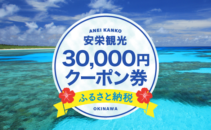 安栄観光 30,000円クーポン券 30,000円