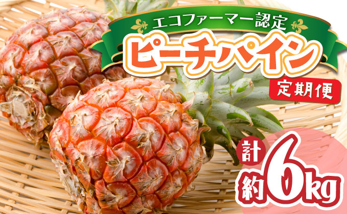 定期便 2ヶ月 2026年 先行予約 ピーチパイン 約3kg 西表島 絶品 初エコファーマー認定 パイン 果物 フルーツ 2回 お楽しみ 036-a003_2026