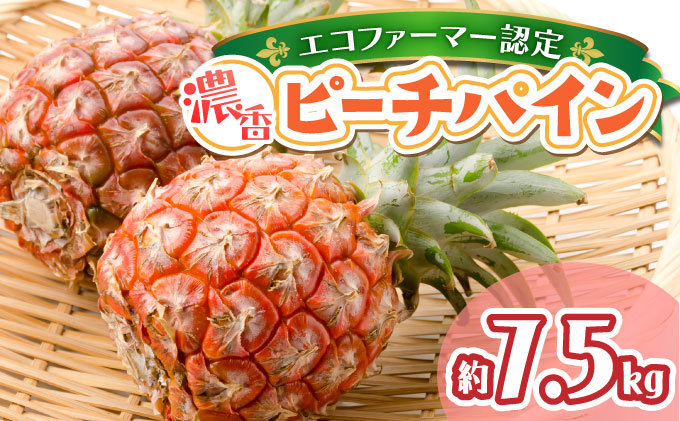 2026年 先行予約 ピーチパイン 濃香 約7.5kg ★ファミリーサイズ★ 西表島 絶品 初エコファーマー認定 果物 フルーツ 036-a005_2026