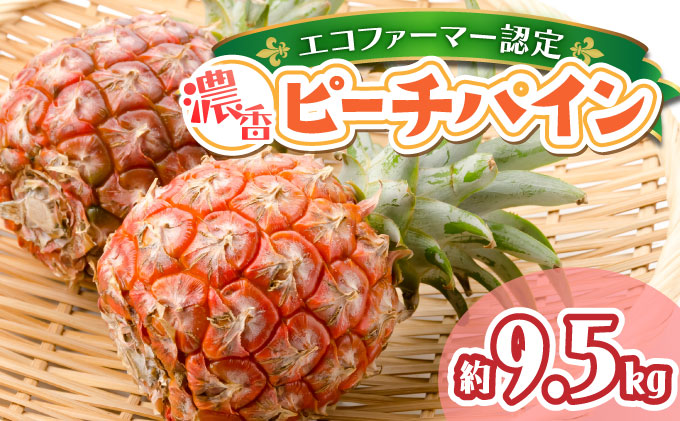 2026年 先行予約 ピーチパイン約9.5kg 濃香 パイン ★たっぷり大家族サイズ★西表島 絶品 初エコファーマー認定 036-a008_2026