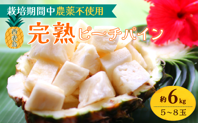 2026年 先行予約 西表島の完熟ピーチパイン 6kg (5〜8玉)【嘉本商店 完熟 果物 フルーツ】お届け：5月中旬～6月中旬頃
