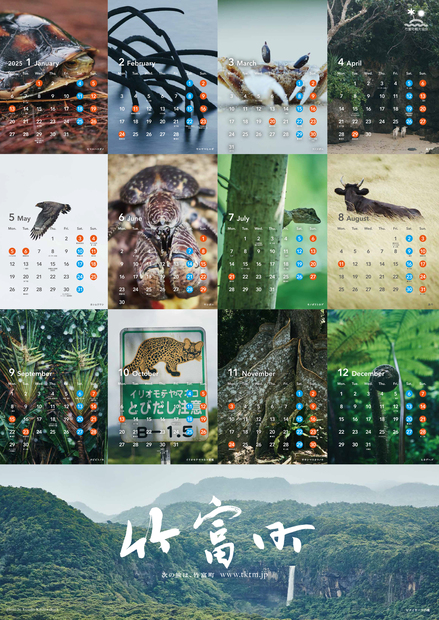 竹富町観光協会　希少な動植物を守る活動への寄附 A1判（たて841mm×よこ594mm） ※A4サイズに折りたたんで送付