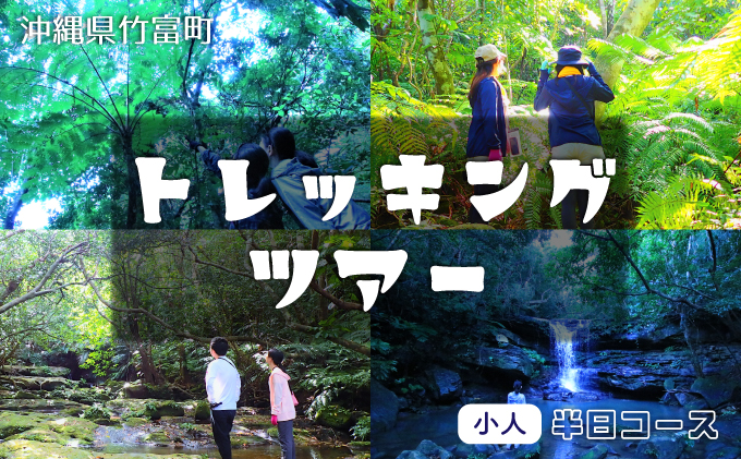 西表島 半日森林浴滝トレッキングツアー【体験可能期間:11月1日～4月30日】小人1名分