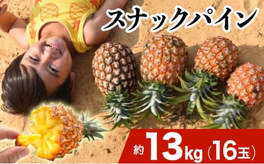 2026年 先行予約 スナックパイン 約13kg 16玉 西表島ひらい農園 パイナップル 果物 フルーツ パイン 約13kg 16玉