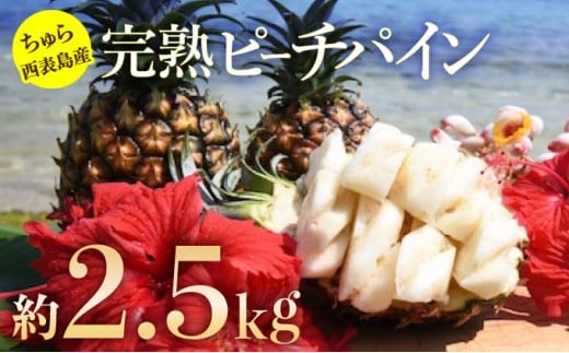 2026年 先行予約 ピーチパイン 約2.5kg 3～5玉 ちゅら西表島産!! ゆたか農園 完熟 パイン 果物 フルーツ パイナップル