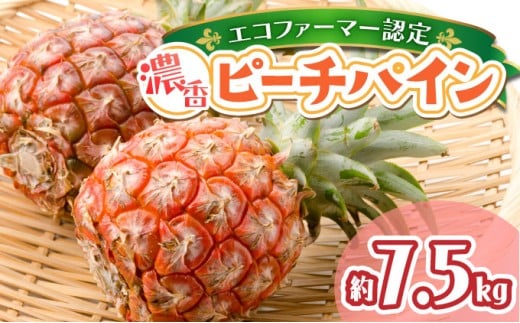 濃香ピーチパイン 約7.5kg 【F】 2026年 先行予約 ★ファミリーサイズ★ 西表島 絶品 初エコファーマー認定 果物 フルーツ 【036-a005】 約7.5kg