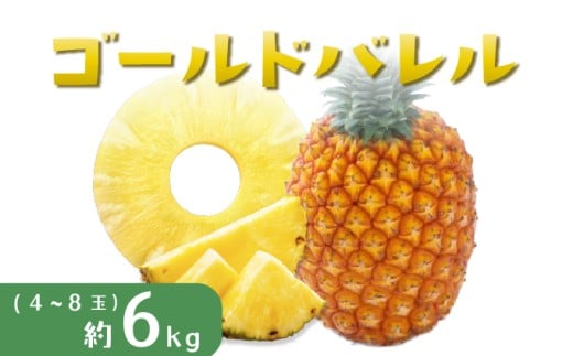 パイナップル ゴールドバレル 約6kg 4～8玉 パイン 果物 フルーツ 沖縄 西表島【TOK:iふぁーむ】配送不可：離島028-a003_2026 【約6kg】　4～8玉
