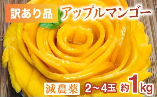 【訳あり】 アップルマンゴー 約1kg (栽培期間中 減農薬栽培)【2026年6月中旬以降順次発送】アナナス農園 完熟 マンゴー 果物 フルーツ