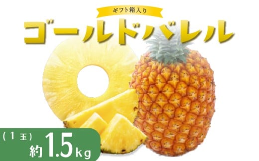 パイナップル ゴールドバレル 1玉 ハウス栽培 ギフト箱入 パイン 果物 フルーツ 沖縄 西表島【TOK:iふぁーむ】配送不可：離島028-a001_2026 【約1.5kg】1玉 ギフト箱入