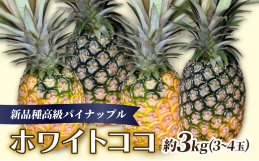 新品種高級パイナップル ホワイトココ 希少品種 ココナッツの香り 約3kg（3～4玉）