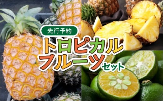 2026年 先行予約 トロピカルフルーツ セット パイン シークワーサー ☆西表島ふる～つらんど☆ 果物 フルーツ トロピカルセット