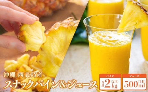 2026年 先行予約 熟鮮スナックパイン2kg （2玉）と甘さをぎゅっと詰め込んだ100％ パイナップルジュース 1本