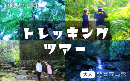西表島 半日森林浴滝トレッキングツアー【体験可能期間:11月1日～4月30日】大人1名分【 旅行 体験チケット 西表島ツアー 大自然 体験ツアー 観光 沖縄 森林浴 滝 トレッキング アクティビティ】 大人1名分