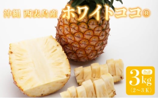 リピーター続出の希少種パイン！　数量限定販売　先行予約　パイナップル　沖縄　西表島　熟鮮ホワイトココ(R)　3㎏　2～3玉　ココナッツに似た香り　果物　フルーツ　デザート