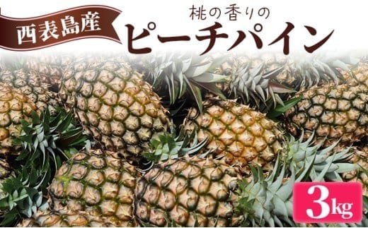 2026年  先行予約 ピーチパイン 約3kg (3～5玉) 桃の香り ますみ農園 パイン 果物 フルーツ パイン 約3kg（3～5玉）