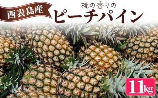 2026年 先行予約 ピーチパイン 約11kg (12～18玉) 桃の香り ますみ農園 パイン 果物 フルーツ 約11kg（12～16玉）