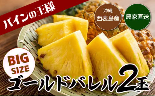 【2026年発送】ゴールドバレルビッグな２玉セット 数量2玉　内容量約3.0kg前後