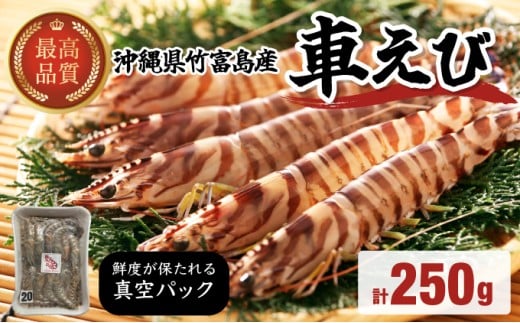車えび 竹富島産 真空パック（冷凍） 250g 真空パック（冷凍） 250g