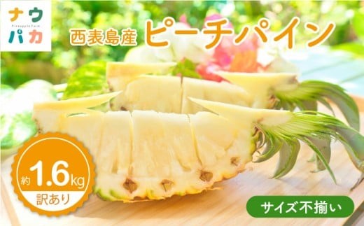 【訳あり】☆新感覚の味わい☆桃のような芳醇な香りのする　『西表島産完熟ピーチパイン』 約1.6kg 約1.6kg