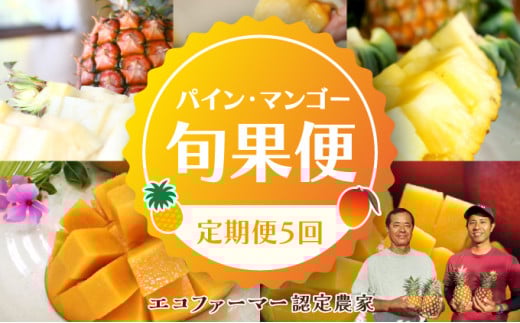 定期便 5回 2026年 先行予約 パイナップル マンゴー 旬果便 農園ファイミール 果物 フルーツ お楽しみ