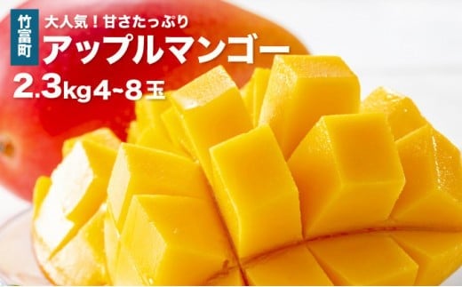 2026年 先行予約 アップルマンゴー 約2.3kg 4～8玉 西表島ひらい農園 マンゴー 果物 フルーツ 約2.3kg（4～8玉）