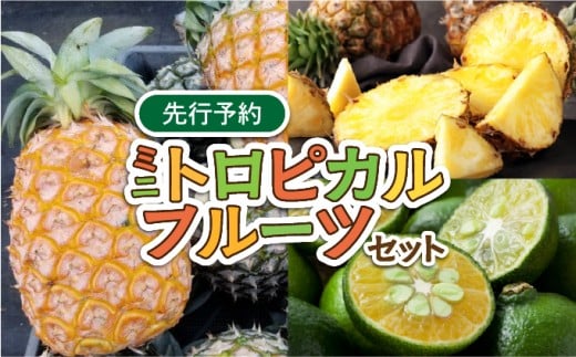 2026年 先行予約 ミニトロピカルフルーツ セット パイン シークワーサー ☆西表島ふる～つらんど☆ 果物 フルーツ ミニトロピカルセット