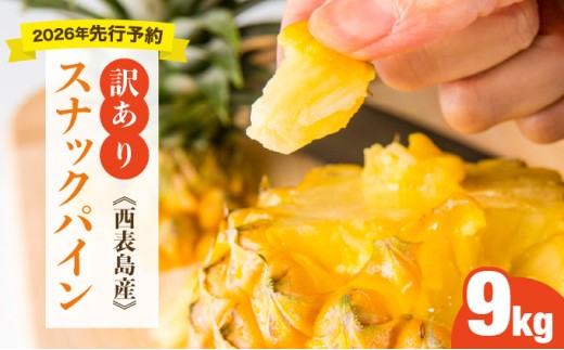 ＜訳あり！＞2026年先行予約　大きさ不揃いお得！箱にいっぱいスナックパイン9kgセット 9kg