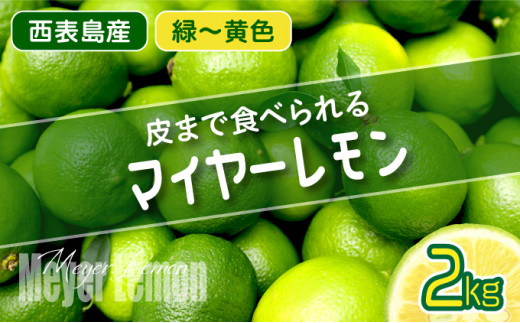 【2026年発送】まろやか多汁マイヤーレモン （島レモン）約2kg　019-a001-2026 2kg