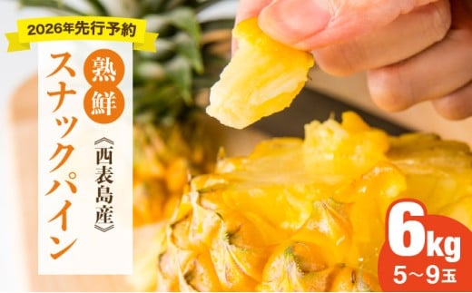 【手でちぎって食べる楽しさ】熟鮮スナックパイン6kg（5～9玉）2026年 先行予約　沖縄　西表島 6kg（5～9玉）