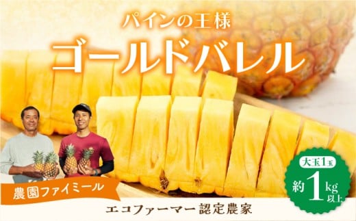 2026年 先行予約 最高級 パイン 完熟 ゴールドバレル  1.0kg以上 大玉1玉 果物 フルーツ パイナップル 大玉1玉 (1.0kg以上)