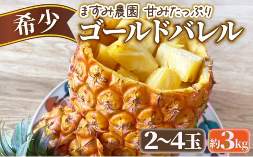 2026年 先行予約 パイン ゴールドバレル 約3kg 2～4玉 ますみ農園 甘み たっぷり パイナップル 果物 フルーツ