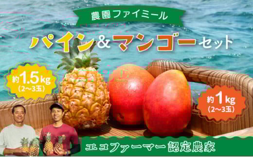 2026年 先行予約 セット パイン 約1.5kg マンゴー 約1kg 農園ファイミール 果物 フルーツ