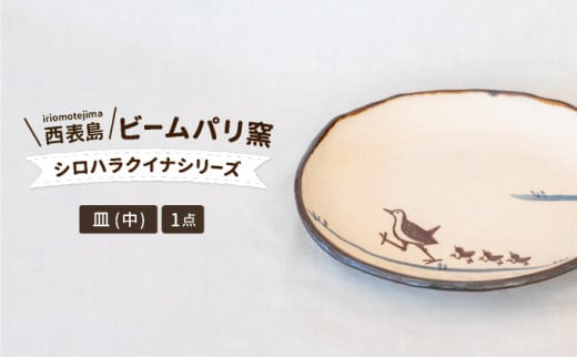 ビームパリ窯　シロハラクイナシリーズ　楕円皿　中 縦約17.5cm、横約21cm、高さ約2.5cm