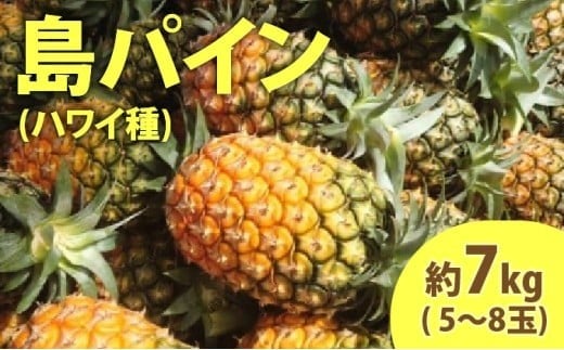 2026年 先行予約 島パイン (ハワイ種) 約7kg (5～8玉) ますみ農園 ”蜜たっぷり” パイン パイナップル 果物 フルーツ 約7kg（5～8玉）