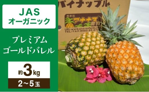 【JASオーガニック】 プレミアムゴールドバレル 約3kg 2～5玉 約3kg 2～5玉