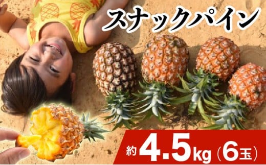 2026年 先行予約 スナックパイン 約4.5kg 6玉 西表島ひらい農園 パイナップル 果物 フルーツ パイン 約4.5kg 6玉