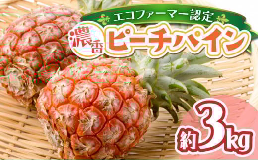 濃香ピーチパイン 約3kg 【E】★絶品★　2026年 先行予約 栽培期間中 農薬不使用 西表島 濃香 初エコファーマー認定【036-a002】 約3kg