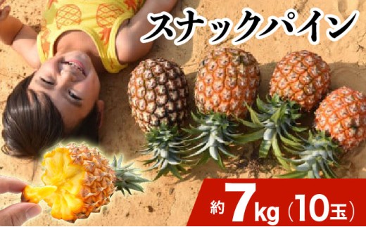 2025年 先行予約 スナックパイン 約7kg 10玉 西表島ひらい農園 パイナップル 果物 フルーツ パイン 約7kg 10玉