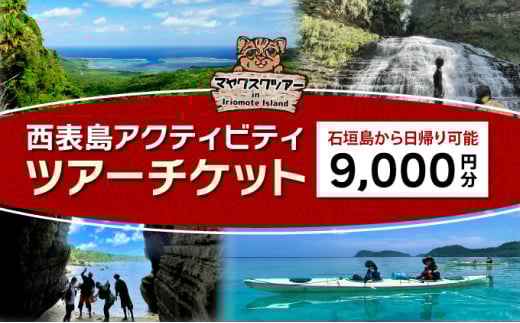 旅行券 沖縄 チケット 西表島 アクティビティ ツアーチケット 9,000円 旅行クーポン 旅行 体験 観光 クーポン 9,000円分