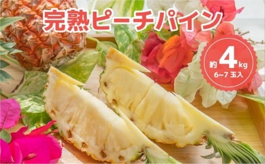 ☆新感覚の味わい☆桃のような芳醇な香りのする　『西表島産完熟ピーチパイン』 約4kg（6～7個入） 約4kg（6～7個入）