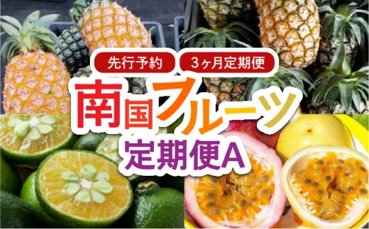 2026年 先行予約 定期便 3ヶ月 南国フルーツ 定期便A パイン シークワーサー 計4種類 果物 フルーツ 3回 お楽しみ