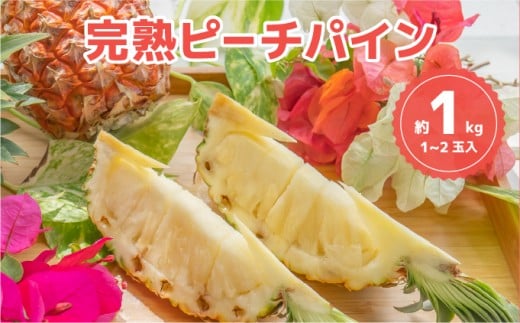 ☆新感覚の味わい☆桃のような甘～い香りのする芳醇なパイナップル　『完熟ピーチパイン』 約1kg（1～2個入） 約1kg（1～2個入）