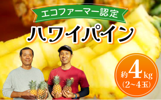 《2026年先行予約》ハワイパイン約4kg 【お届け：2026年6月中旬～7月下旬】【農園ファイミール 完熟 果物 フルーツ パイン パイナップル】 約4kg