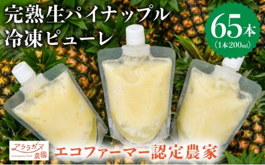 水なし、加熱なし、砂糖なし！天然まるごと！完熟生パイナップル冷凍ピューレ200ml×65本セット 200ml×65本